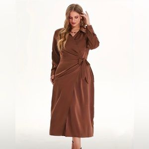 Brown Dress  Size 10